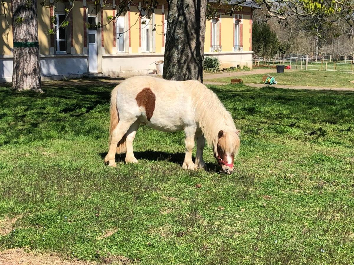 Gite Du Campagnard Du Chateau De La Bouchatte Chazemais Esterno foto