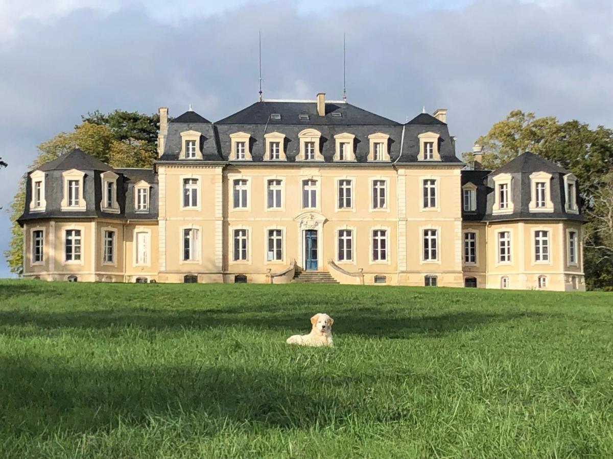 Gite Du Campagnard Du Chateau De La Bouchatte Chazemais Esterno foto