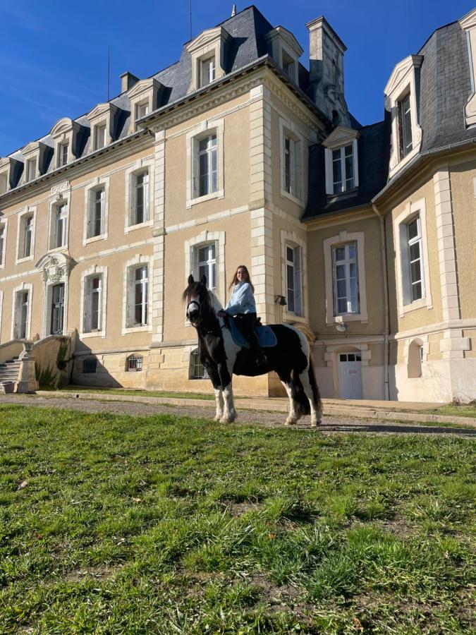Gite Du Campagnard Du Chateau De La Bouchatte Chazemais Esterno foto