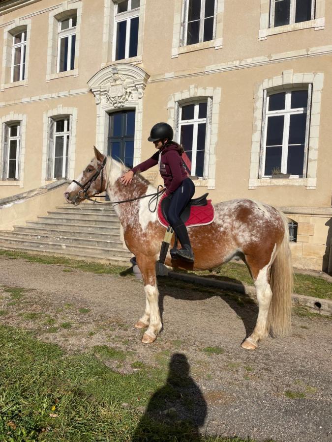 Gite Du Campagnard Du Chateau De La Bouchatte Chazemais Esterno foto